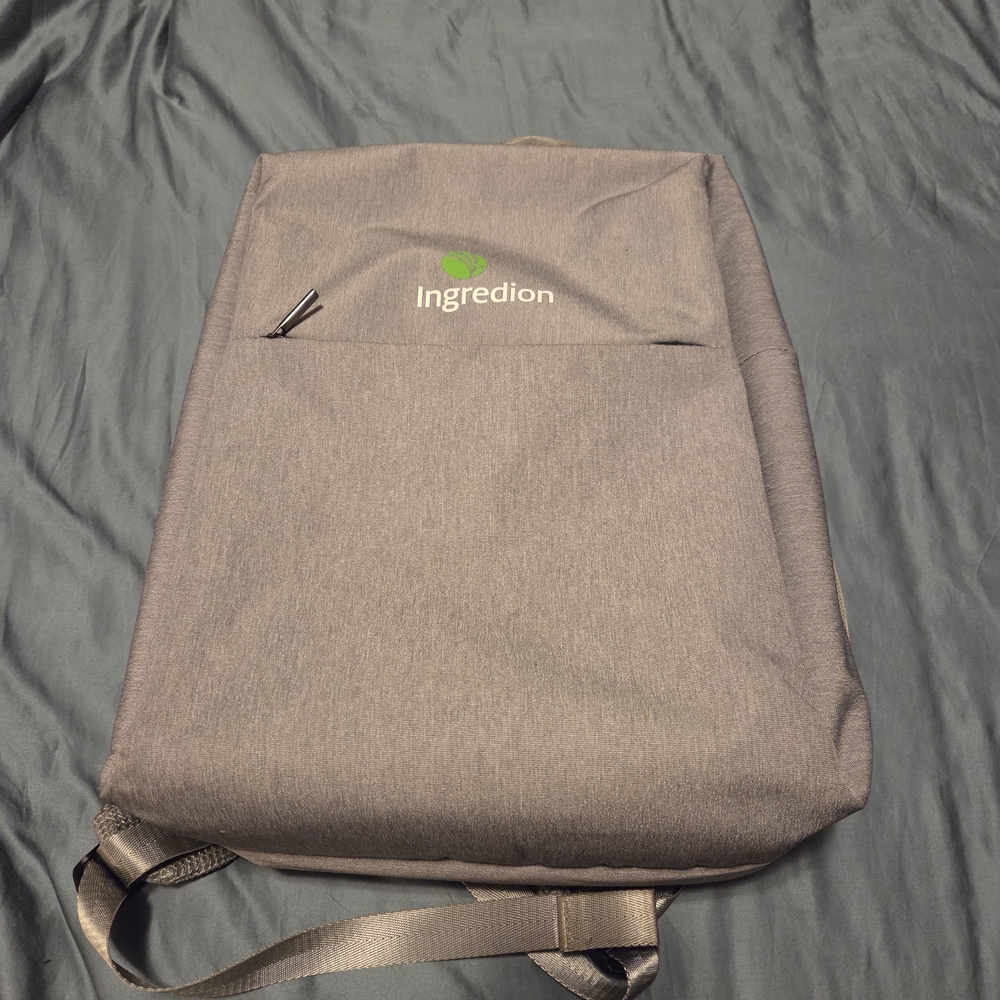 Gray Travel Backpack - image 1